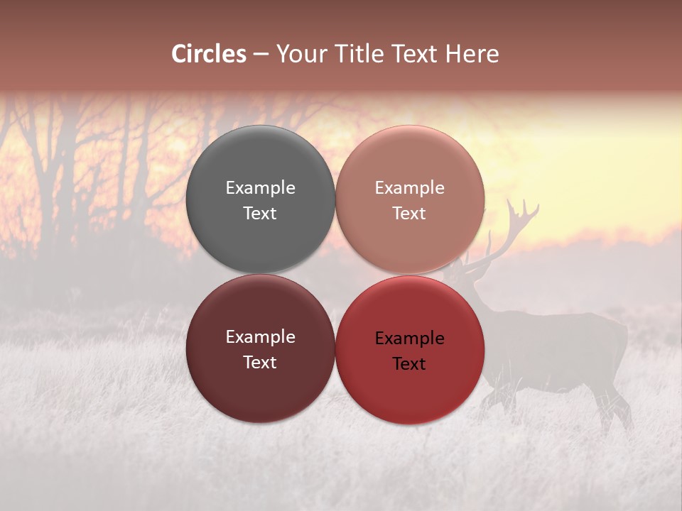 Orange Heather Red Deer PowerPoint Template