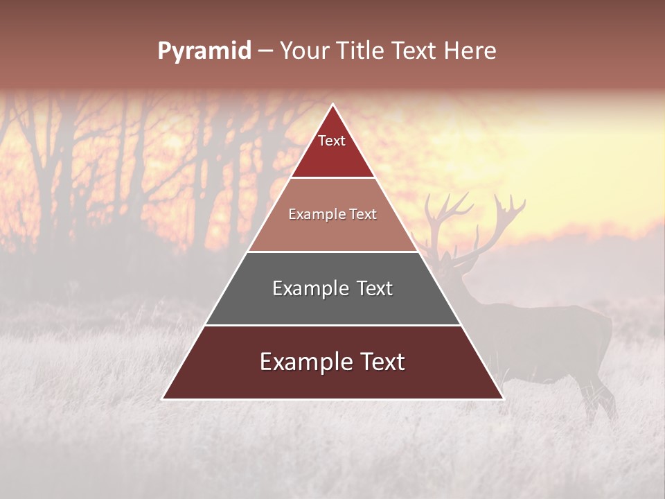 Orange Heather Red Deer PowerPoint Template