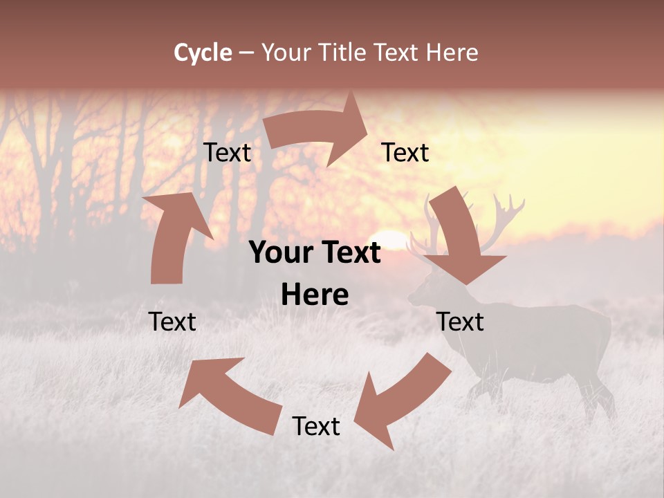 Orange Heather Red Deer PowerPoint Template