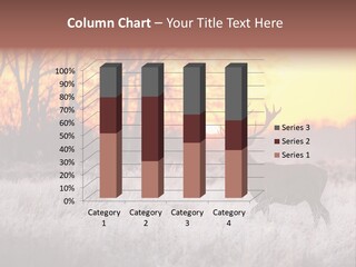 Orange Heather Red Deer PowerPoint Template