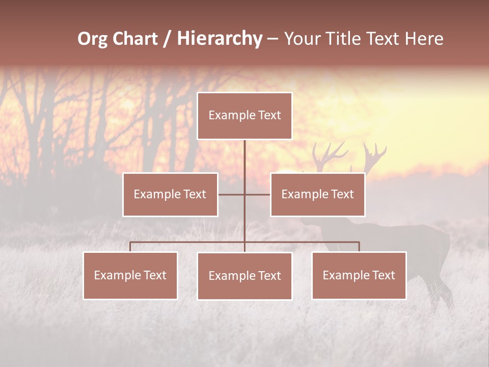 Orange Heather Red Deer PowerPoint Template