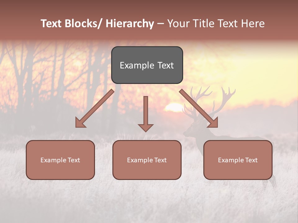 Orange Heather Red Deer PowerPoint Template