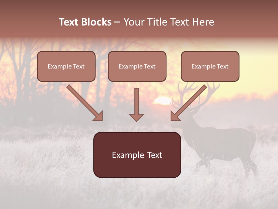Orange Heather Red Deer PowerPoint Template