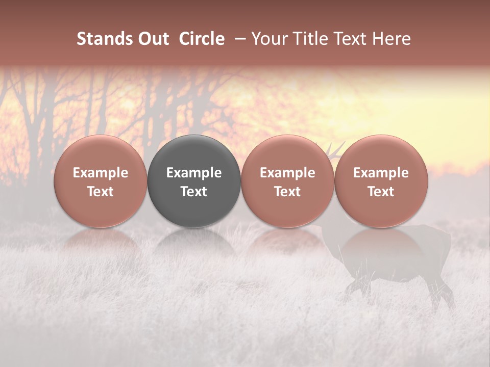 Orange Heather Red Deer PowerPoint Template