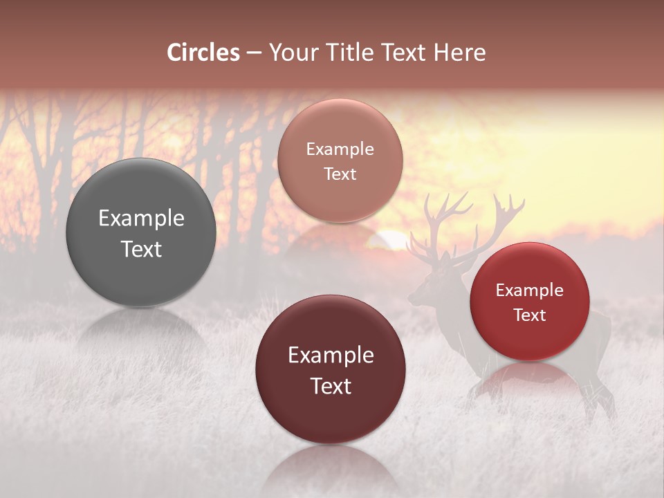 Orange Heather Red Deer PowerPoint Template