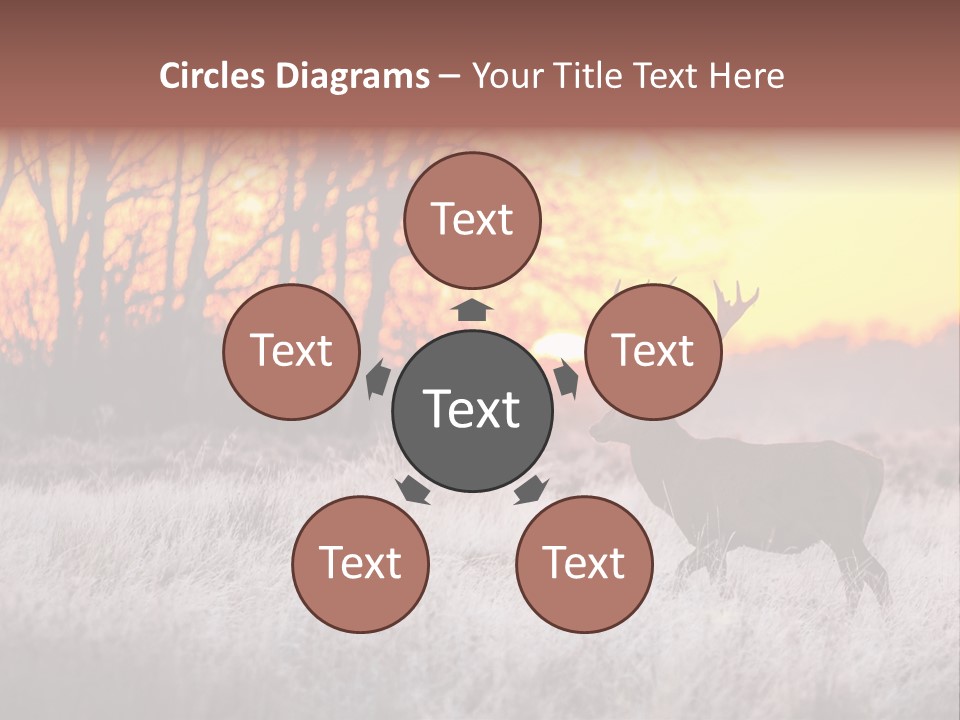 Orange Heather Red Deer PowerPoint Template
