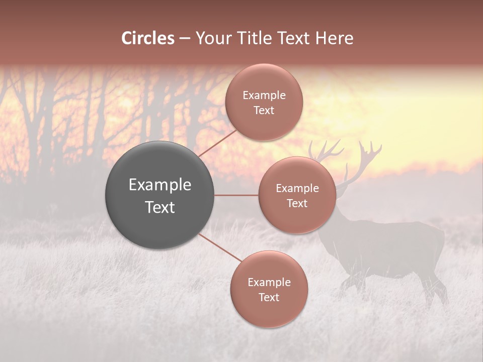 Orange Heather Red Deer PowerPoint Template