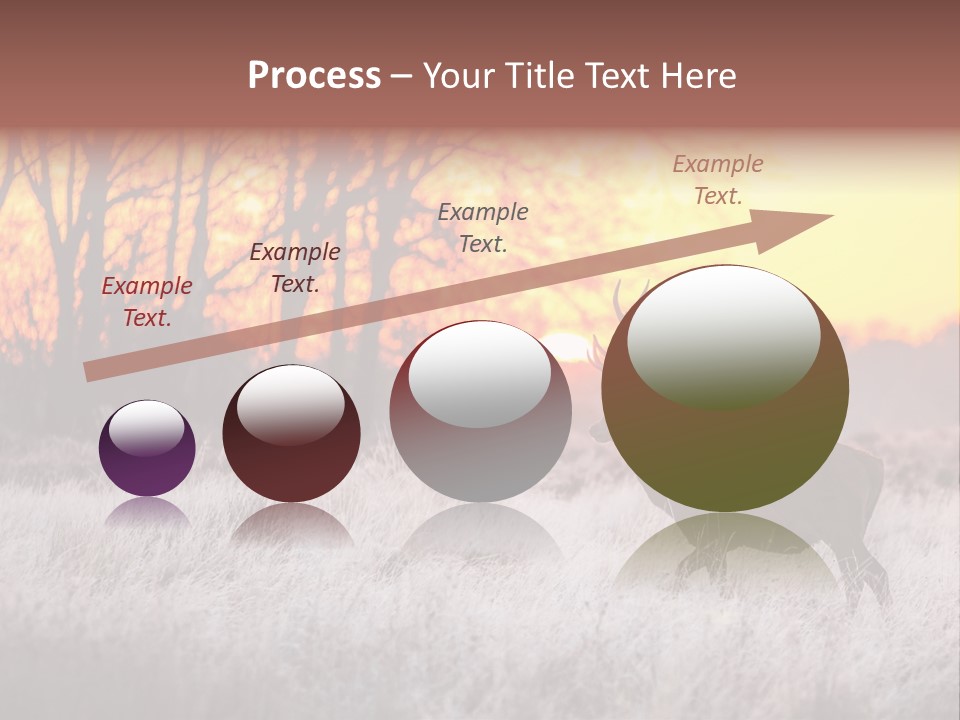 Orange Heather Red Deer PowerPoint Template