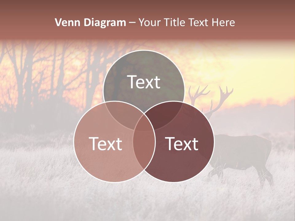 Orange Heather Red Deer PowerPoint Template