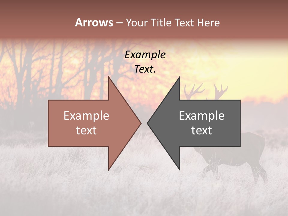 Orange Heather Red Deer PowerPoint Template