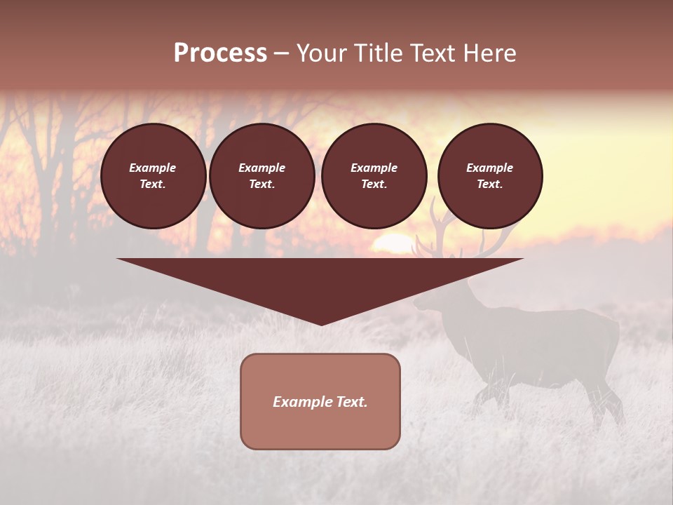 Orange Heather Red Deer PowerPoint Template