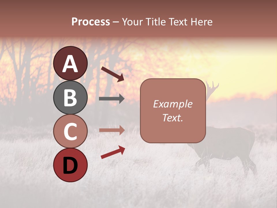 Orange Heather Red Deer PowerPoint Template