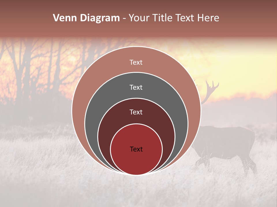 Orange Heather Red Deer PowerPoint Template
