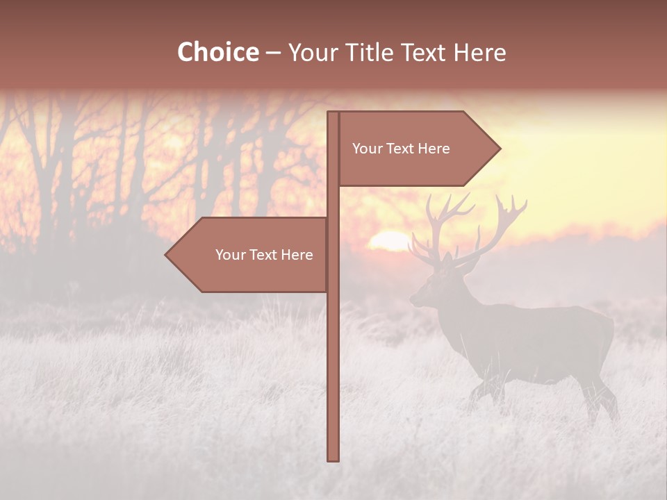 Orange Heather Red Deer PowerPoint Template