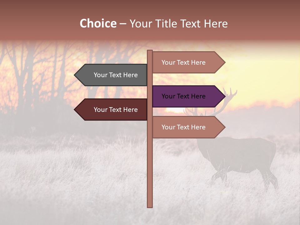 Orange Heather Red Deer PowerPoint Template