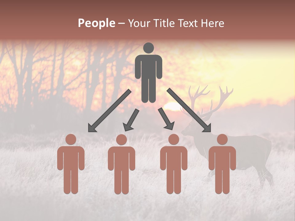 Orange Heather Red Deer PowerPoint Template