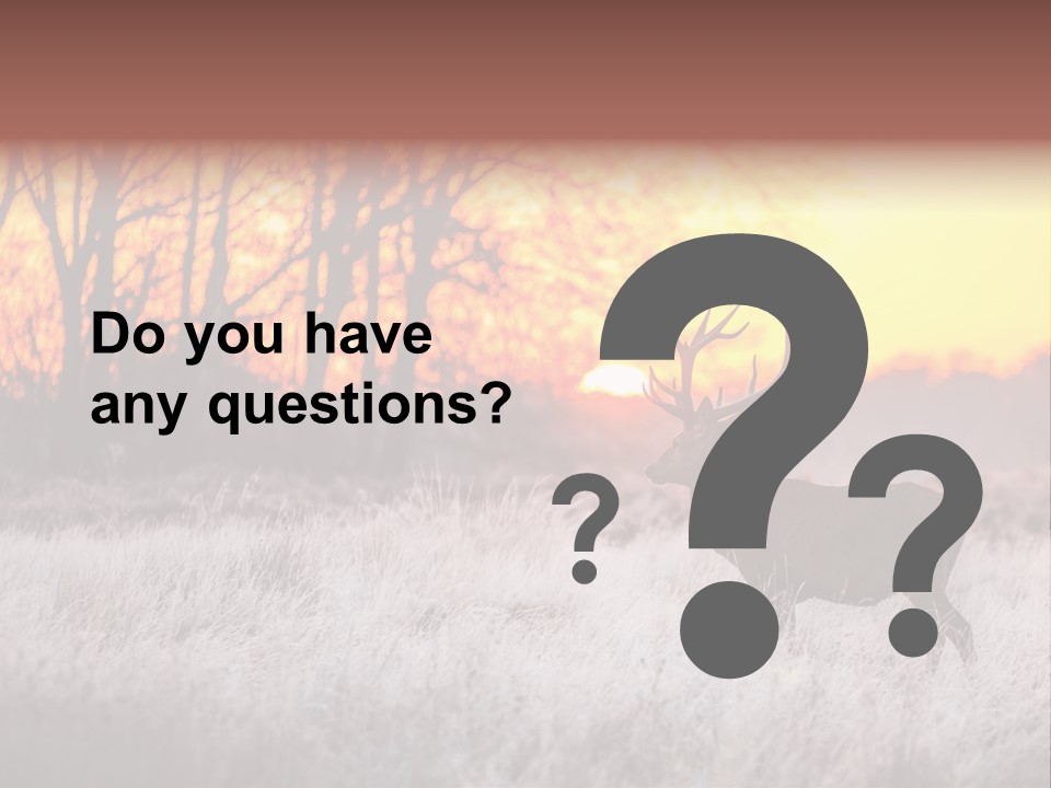 Orange Heather Red Deer PowerPoint Template