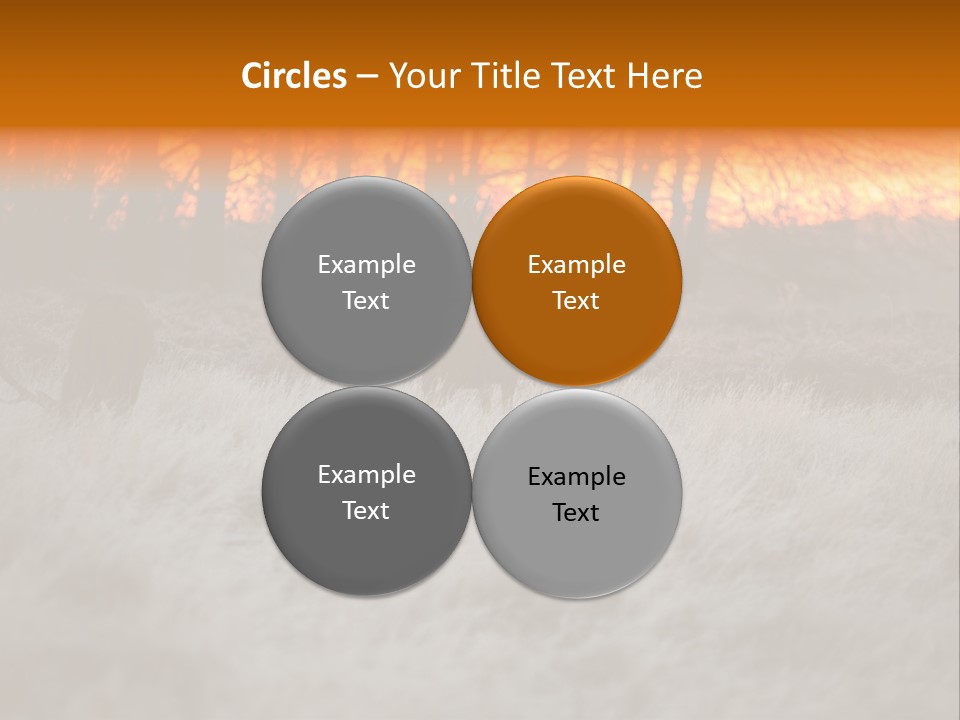 Evening Sun Hunting Wildlife PowerPoint Template