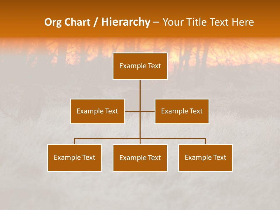 Evening Sun Hunting Wildlife PowerPoint Template