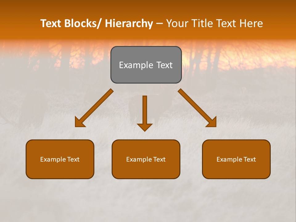 Evening Sun Hunting Wildlife PowerPoint Template