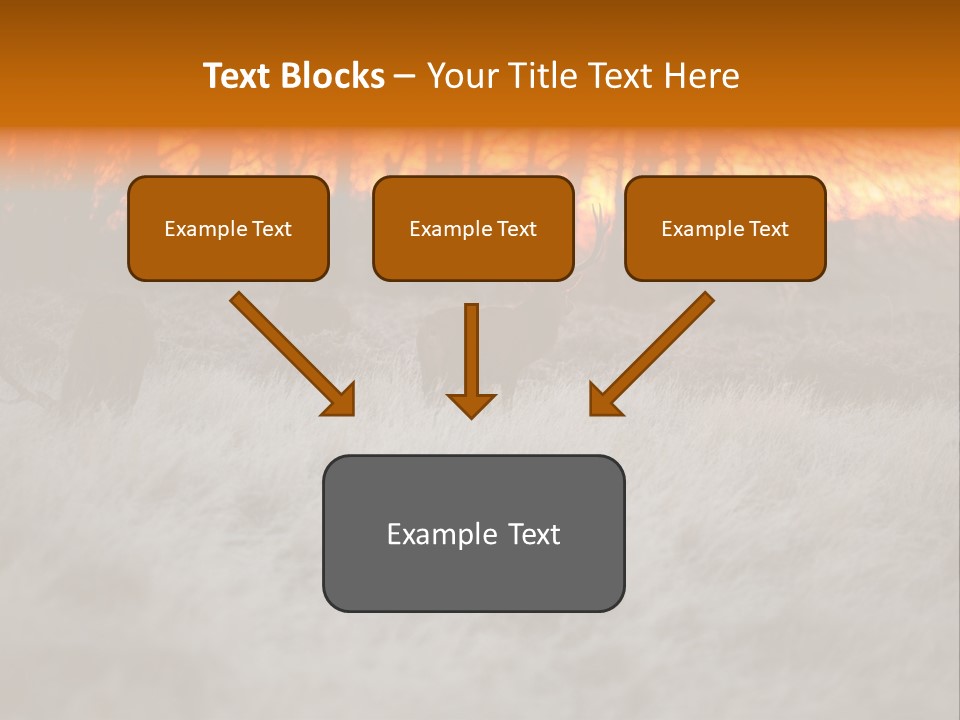 Evening Sun Hunting Wildlife PowerPoint Template