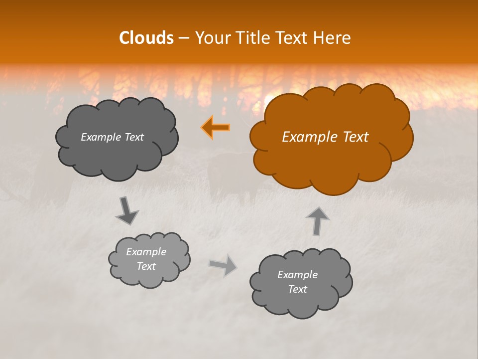 Evening Sun Hunting Wildlife PowerPoint Template