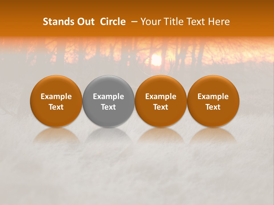 Evening Sun Hunting Wildlife PowerPoint Template