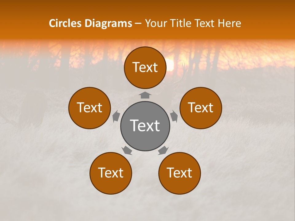 Evening Sun Hunting Wildlife PowerPoint Template