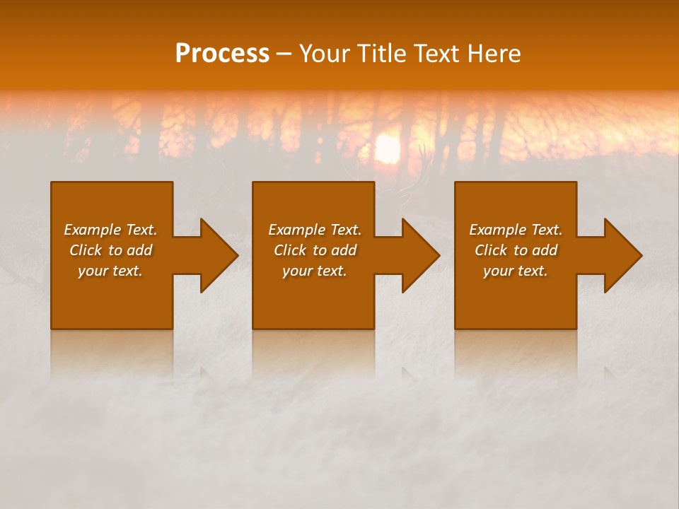 Evening Sun Hunting Wildlife PowerPoint Template