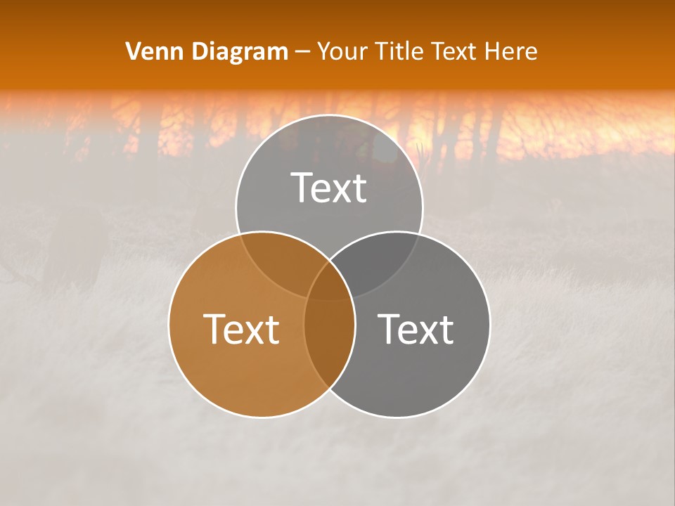 Evening Sun Hunting Wildlife PowerPoint Template