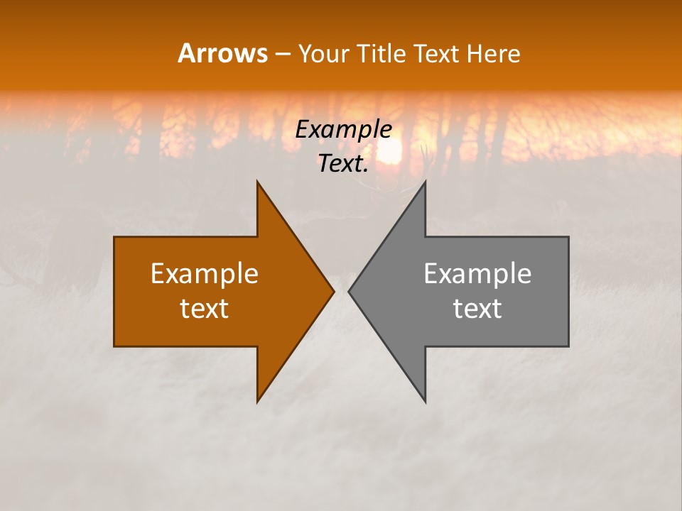 Evening Sun Hunting Wildlife PowerPoint Template