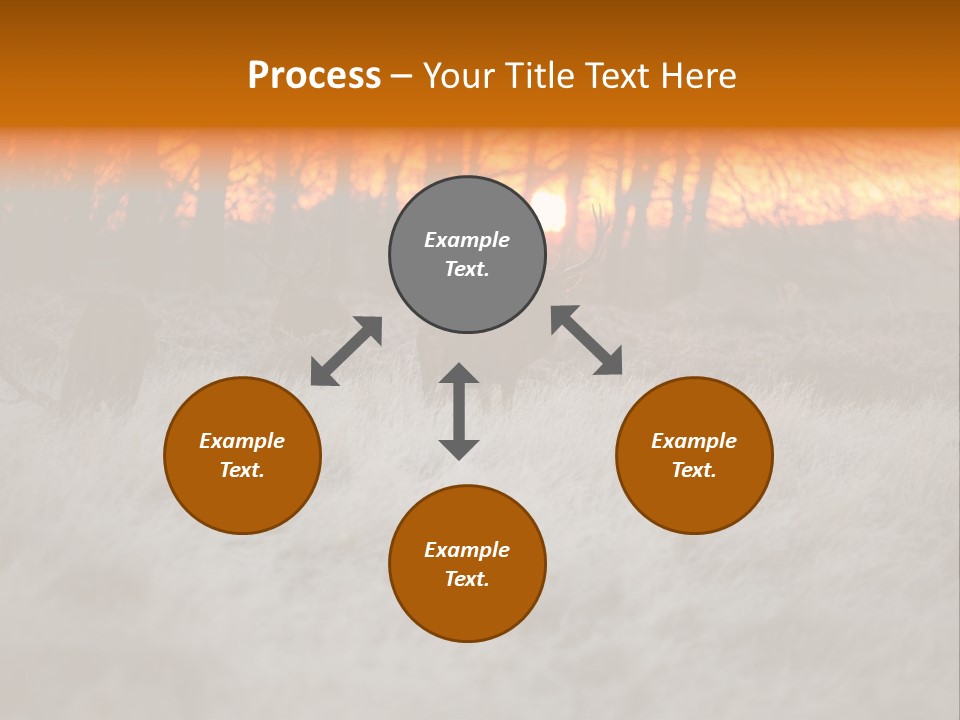 Evening Sun Hunting Wildlife PowerPoint Template