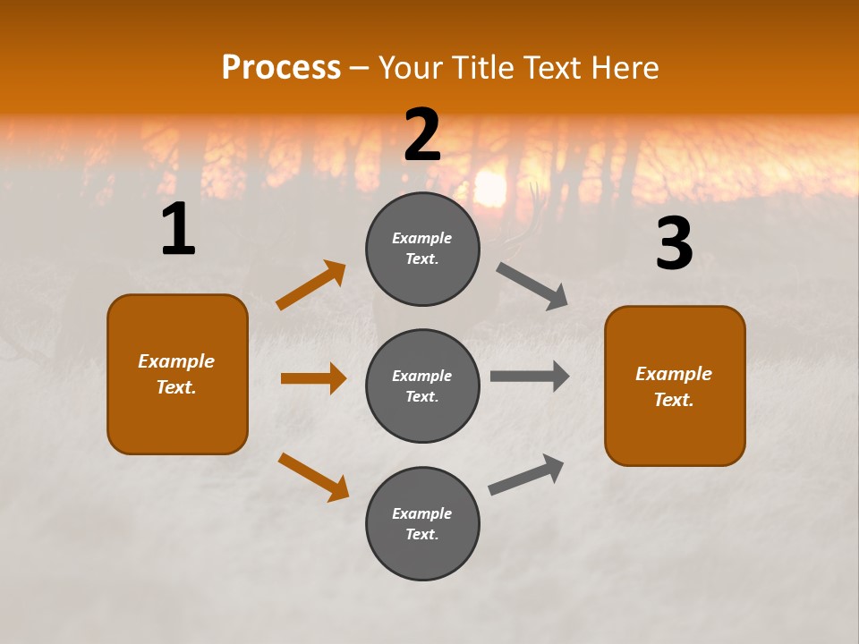 Evening Sun Hunting Wildlife PowerPoint Template