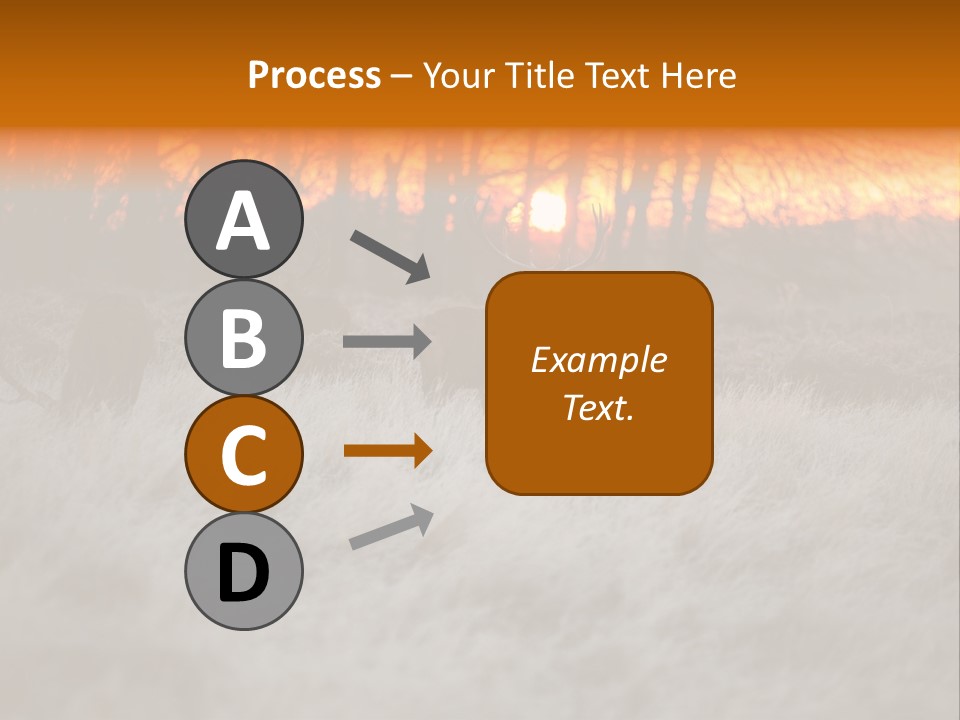 Evening Sun Hunting Wildlife PowerPoint Template