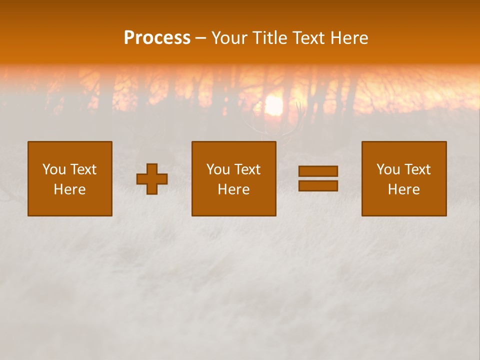 Evening Sun Hunting Wildlife PowerPoint Template