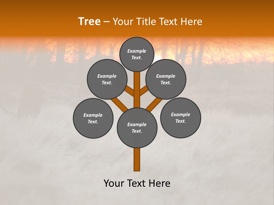 Evening Sun Hunting Wildlife PowerPoint Template