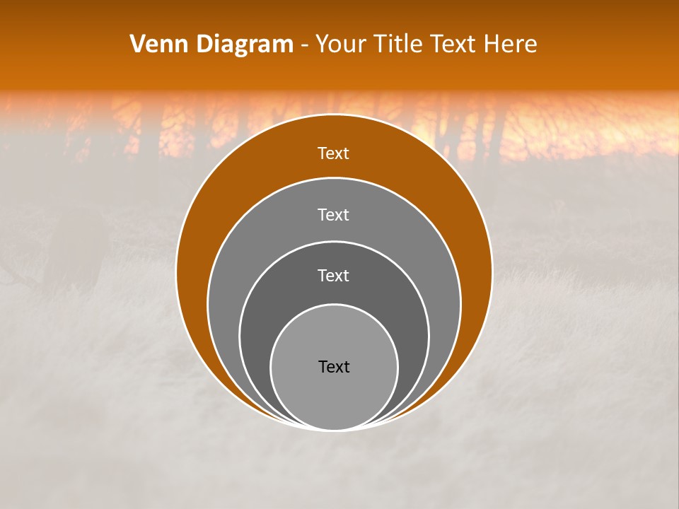 Evening Sun Hunting Wildlife PowerPoint Template