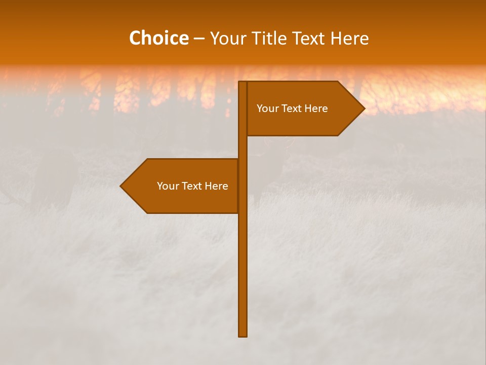 Evening Sun Hunting Wildlife PowerPoint Template