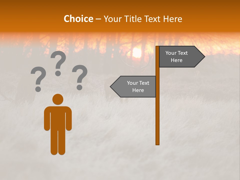 Evening Sun Hunting Wildlife PowerPoint Template