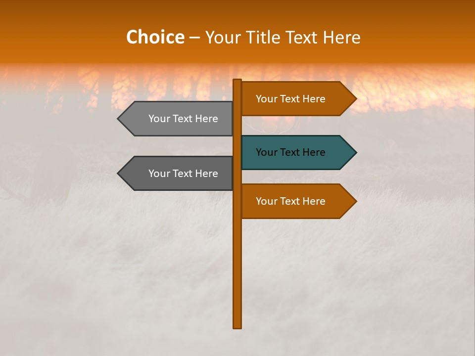 Evening Sun Hunting Wildlife PowerPoint Template