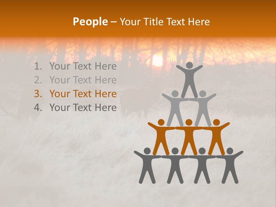 Evening Sun Hunting Wildlife PowerPoint Template