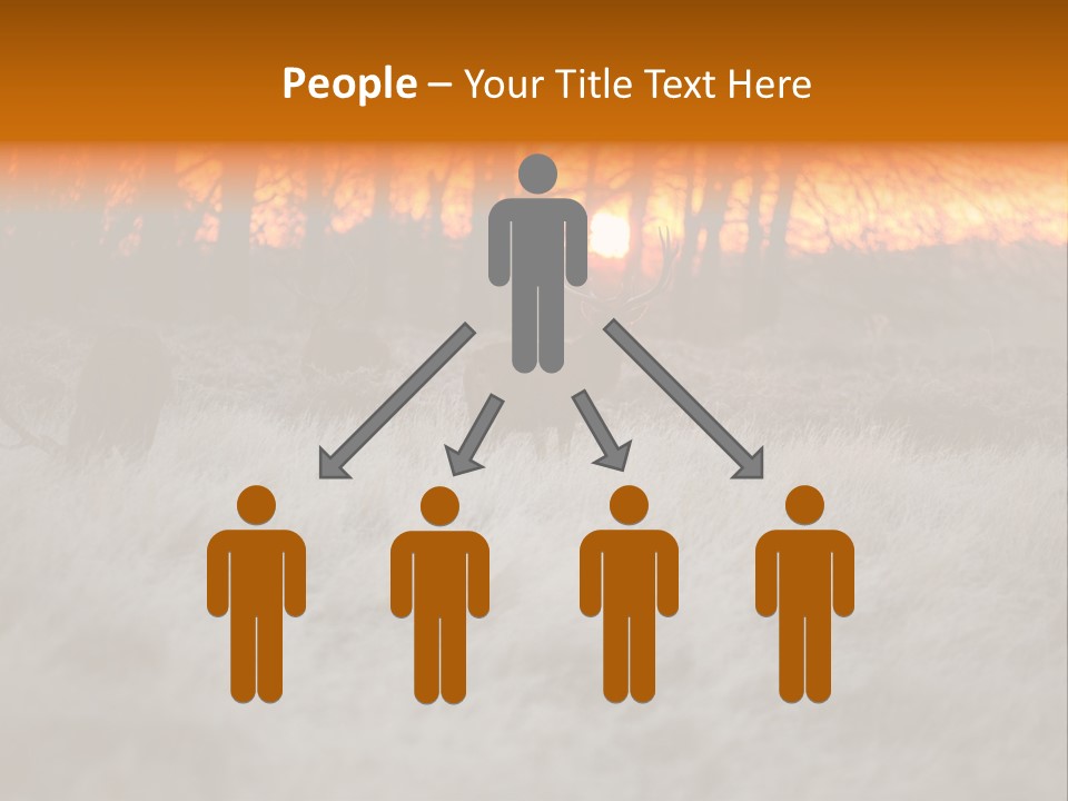 Evening Sun Hunting Wildlife PowerPoint Template