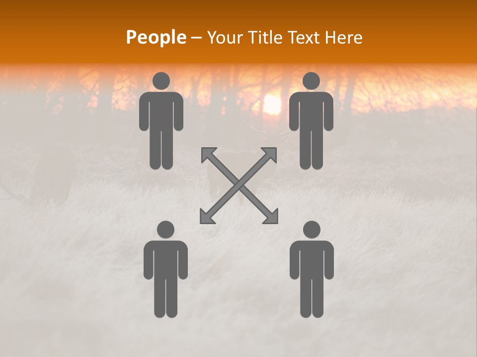 Evening Sun Hunting Wildlife PowerPoint Template