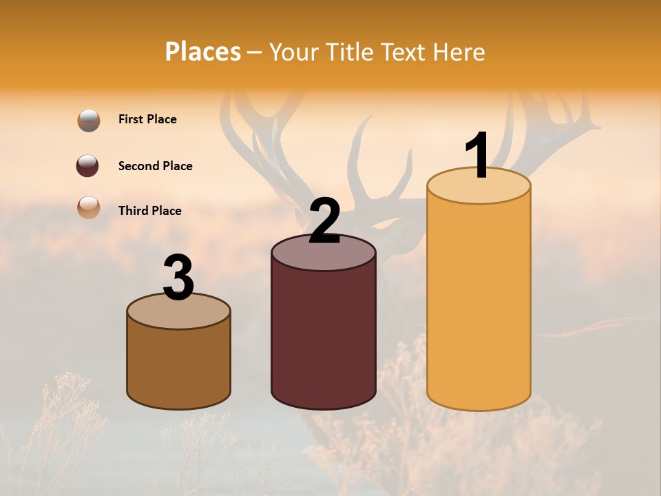 Furniture Contemporary Carpet PowerPoint Template