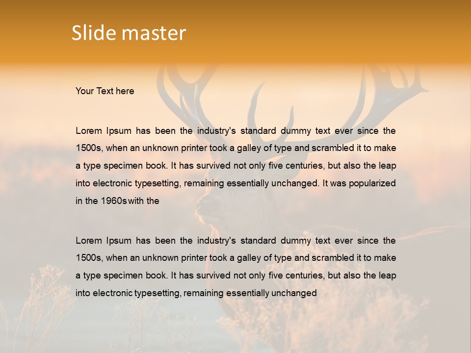 Furniture Contemporary Carpet PowerPoint Template