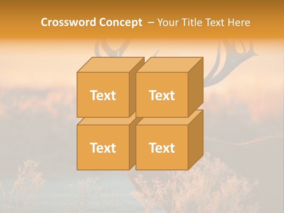 Furniture Contemporary Carpet PowerPoint Template