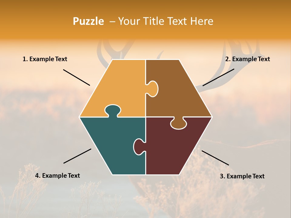 Furniture Contemporary Carpet PowerPoint Template