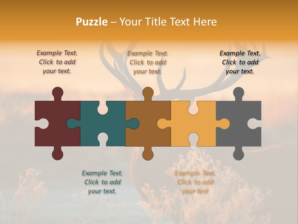 Furniture Contemporary Carpet PowerPoint Template