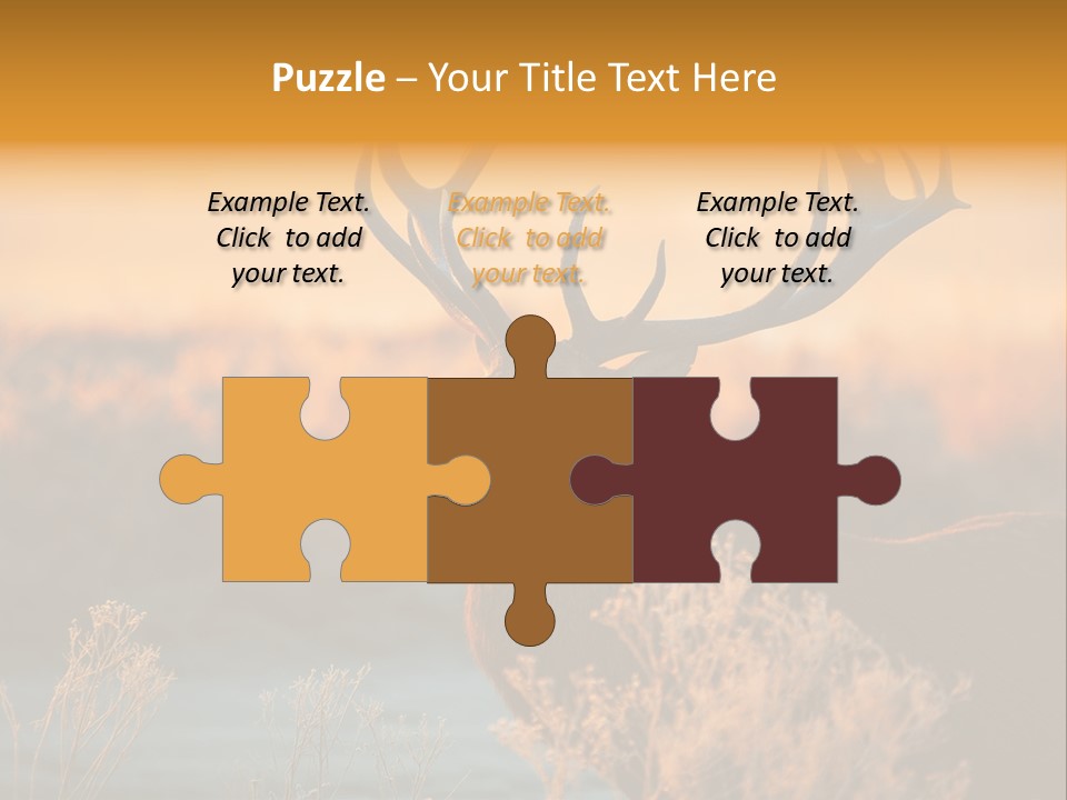 Furniture Contemporary Carpet PowerPoint Template