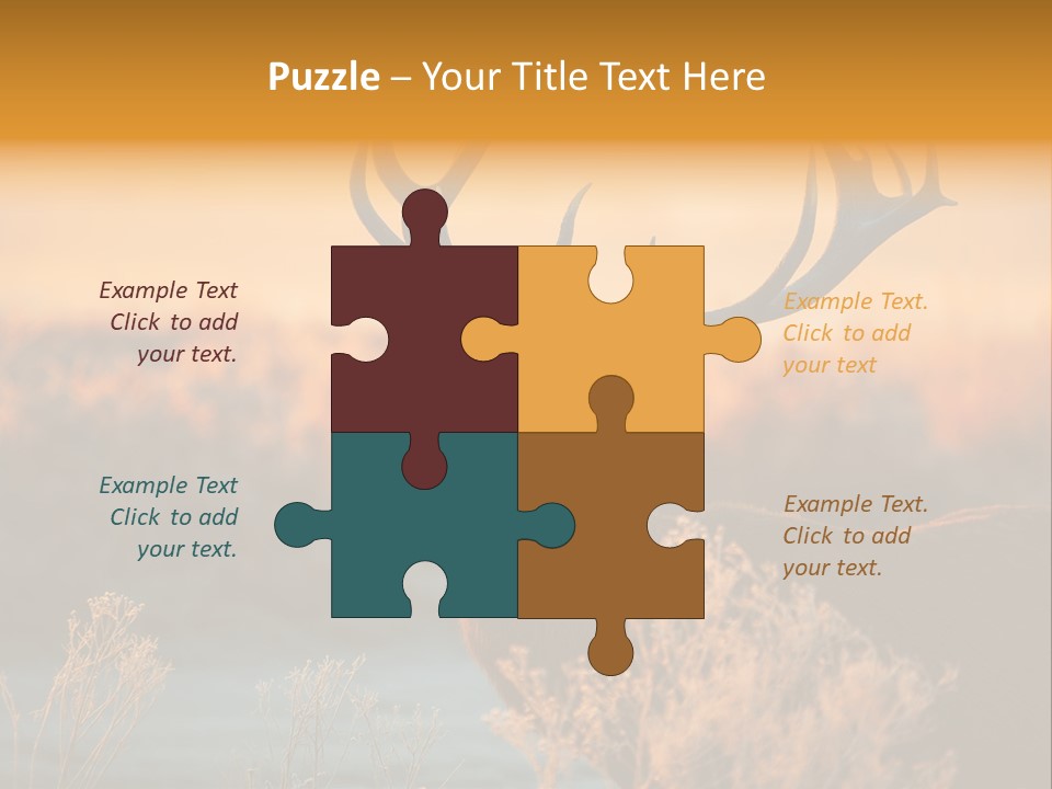 Furniture Contemporary Carpet PowerPoint Template